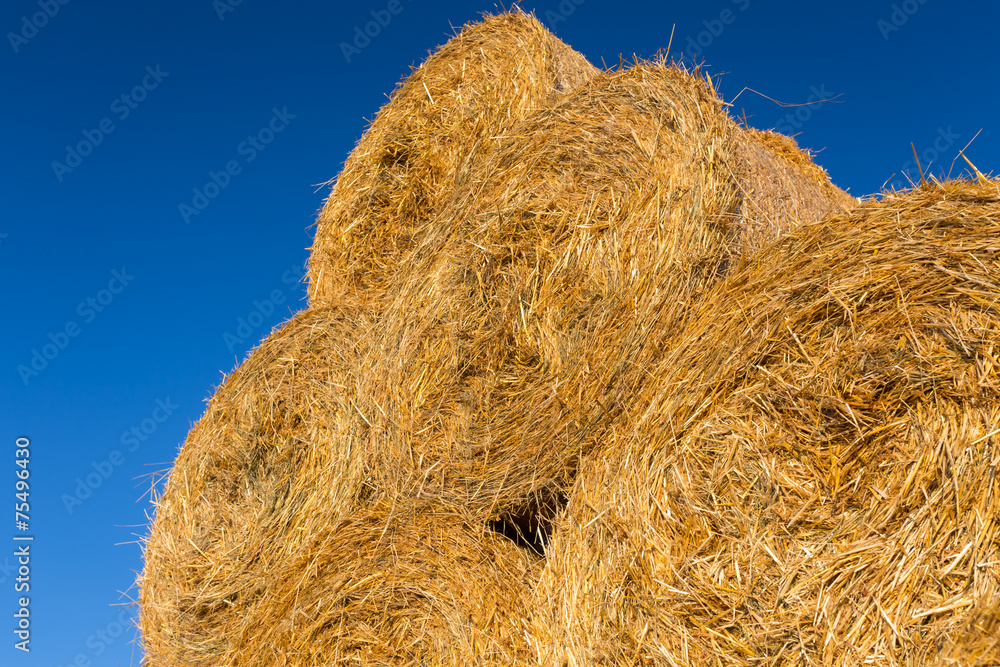 Piled hay bales on a field against blue sky Piled hay bales on a field against blue sky