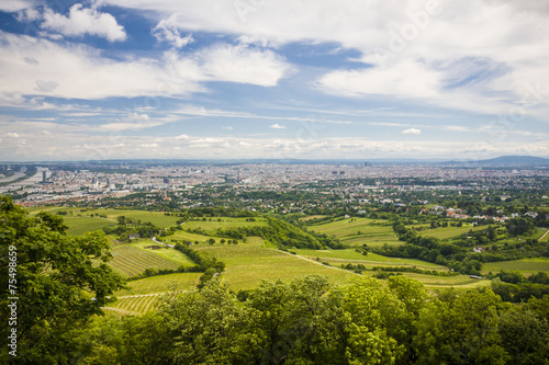 Vienna the view from moutain  Austria