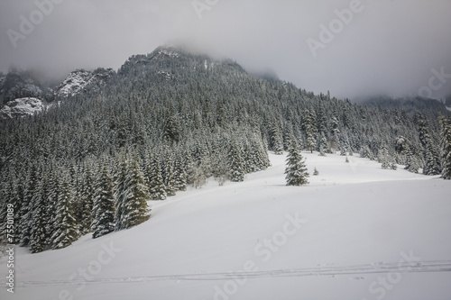 Winter trail in Koscieliska valley, Tatry Mountains, Poland