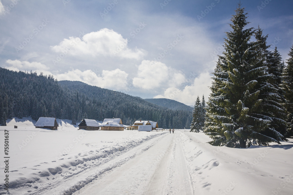 Winter road with snow in Chocholowska valley - Tatra Mountains