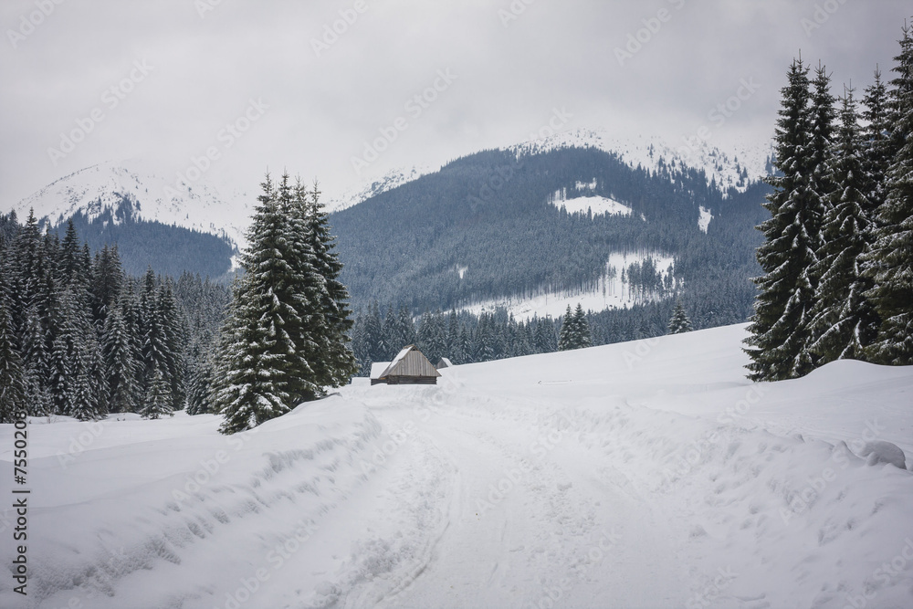 Winter road with snow in Chocholowska valley - Tatra Mountains