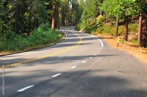 Curved road in Yosemite national park. California.