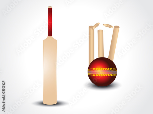 vector cricket bat & ball with stumps