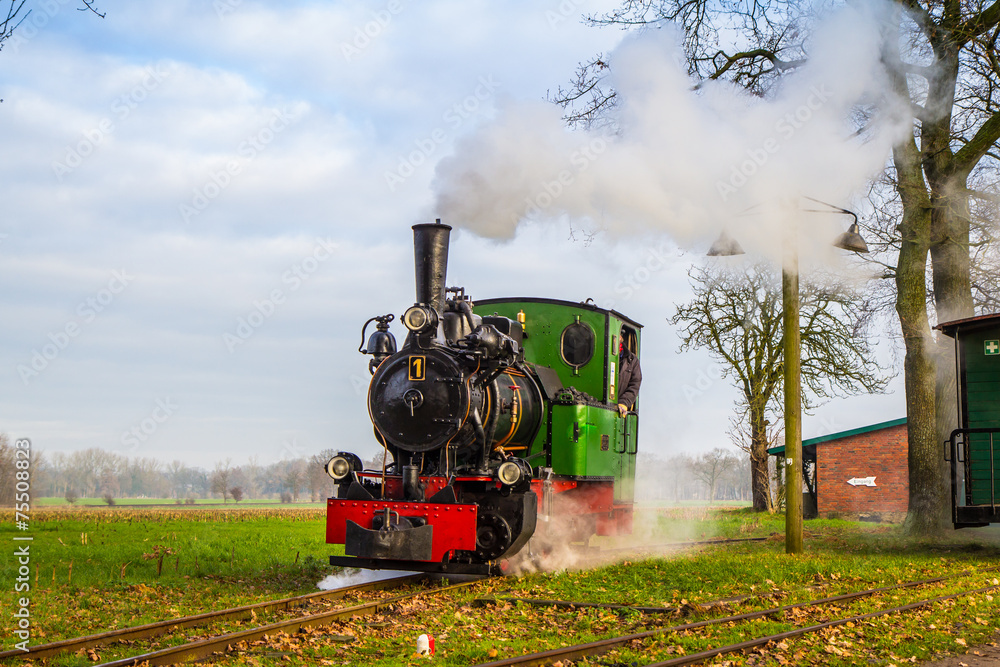 Obraz premium steam locomotive