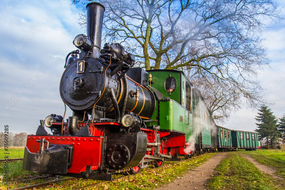 Fototapeta premium Steam locomotive