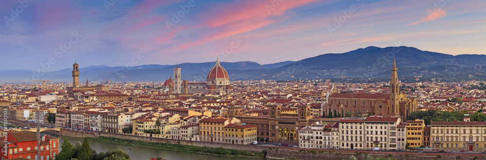 Florence Panorama.