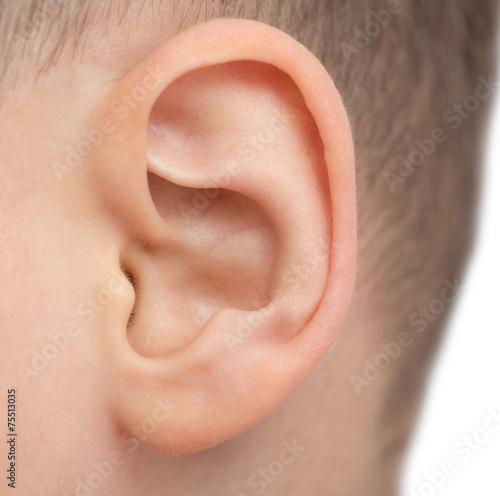 close up of male ear