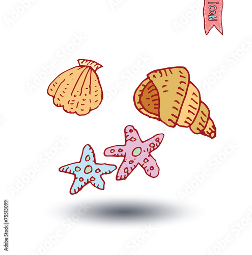 Sea shells and sea star, Hand drawn vector illustration.