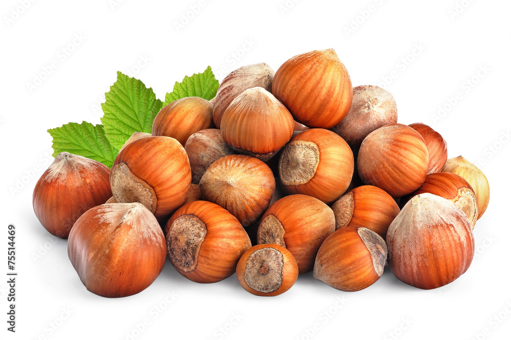 Hazelnuts isolated Hazelnuts isolated