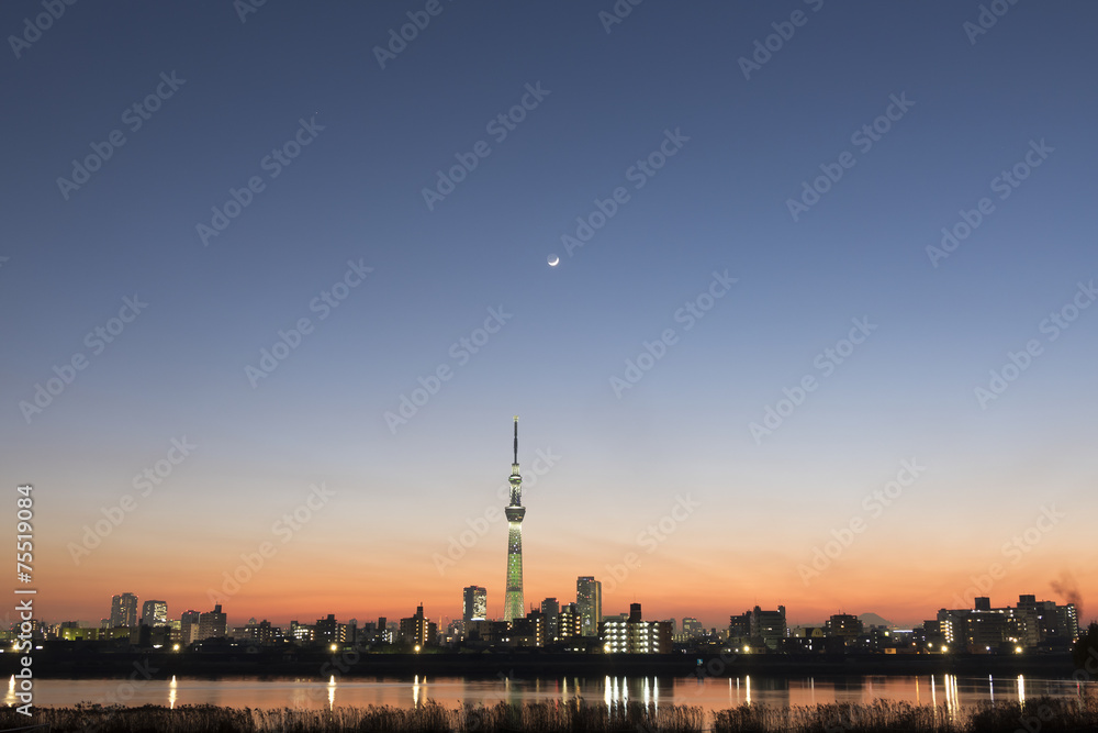 夕景の東京スカイツリー　ライトアップと日没後の美しい空と月　　富士山　東京タワーも望む