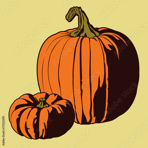 Pumpkin Vector Illustrations