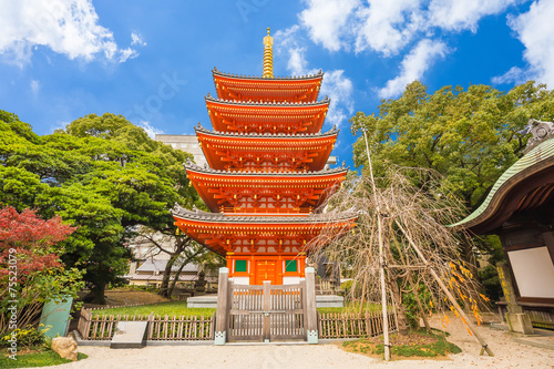 Tocho-ji temple or Fukuoka Giant Buddha temple in Fukuoka, Japan photo