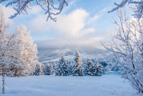 Fototapeta Naklejka Na Ścianę i Meble -  Piękna zima w Beskidach