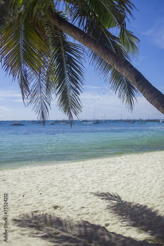 Tropical beach