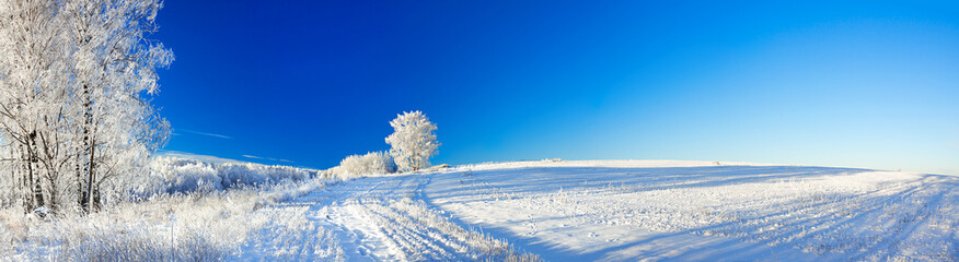 rural winter landscape a panorama with the blue sky, a field and