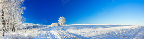 rural winter landscape a panorama with the blue sky, a field and