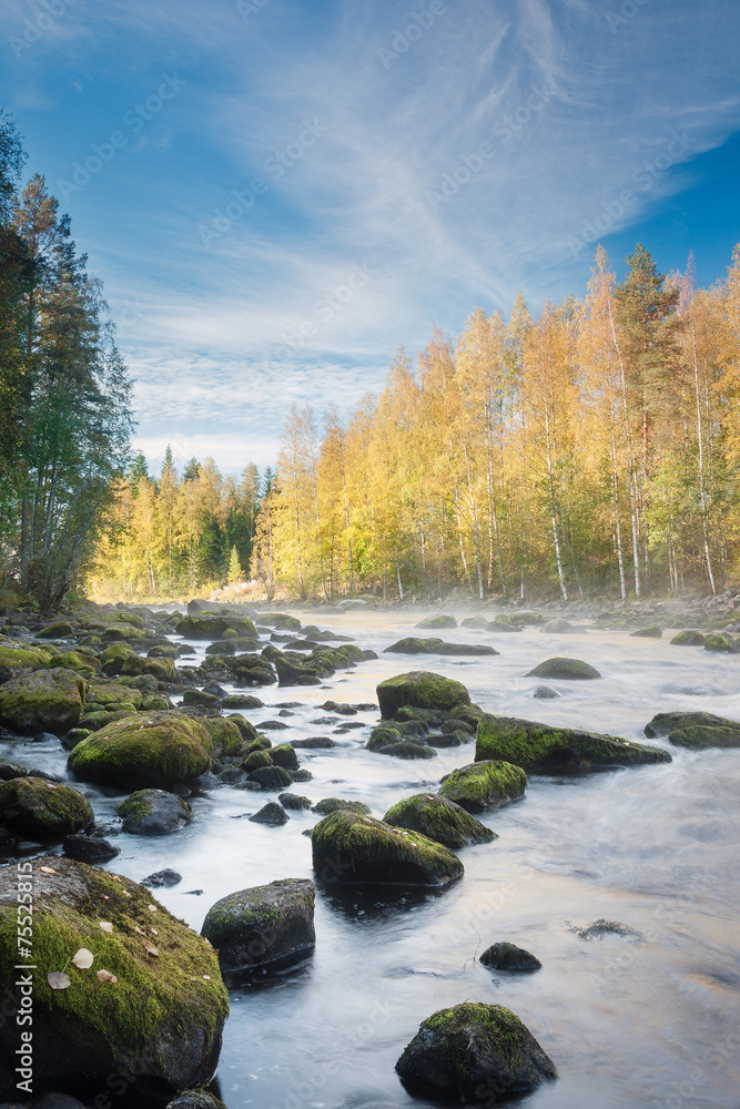 Rapids Rapids