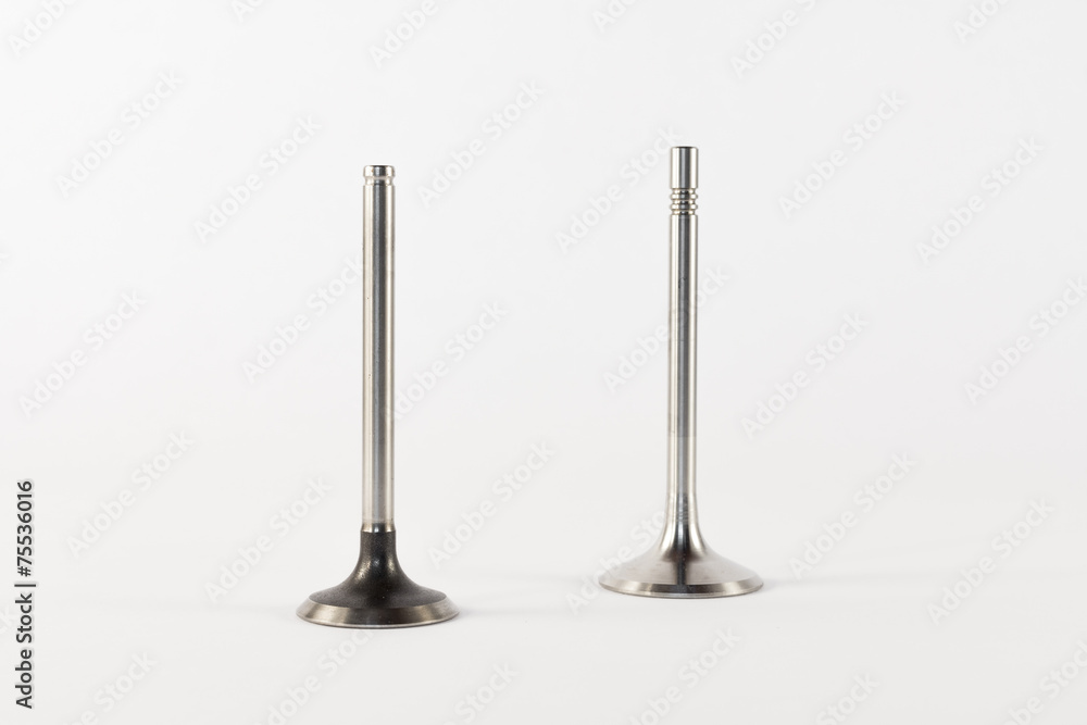 the inlet valves of the combustion engine the inlet valves of the combustion engine