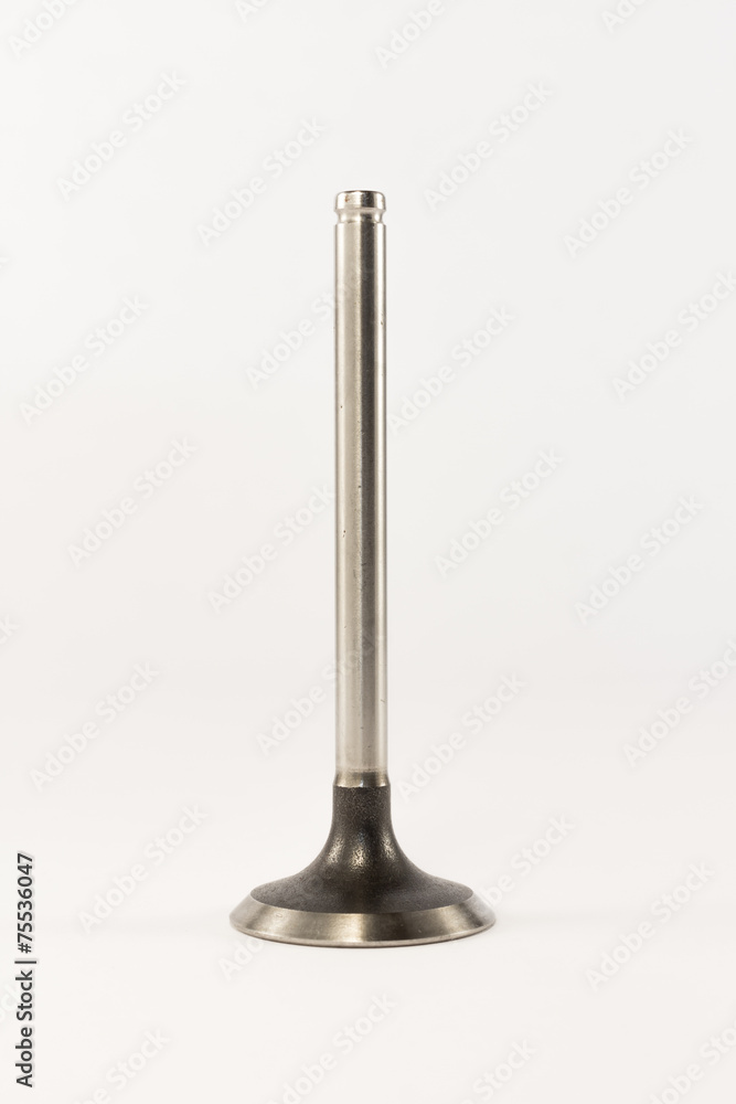 the inlet valves of the combustion engine the inlet valves of the combustion engine