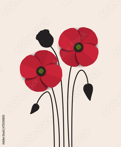 Fototapeta Naklejka Na Ścianę i Meble -  Red Poppy