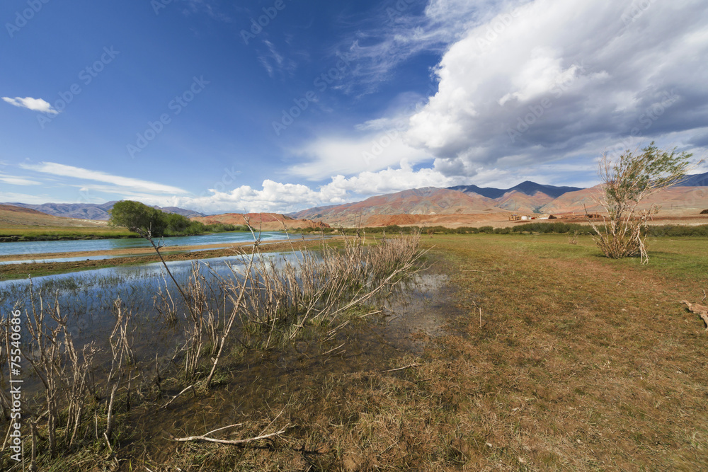 Bank of the river in Altai Mountains