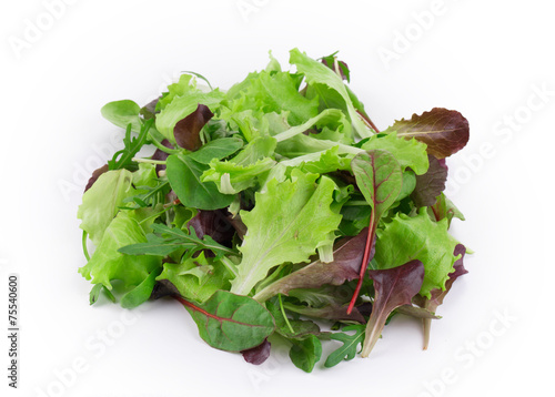 Green and red leaf of lettuce