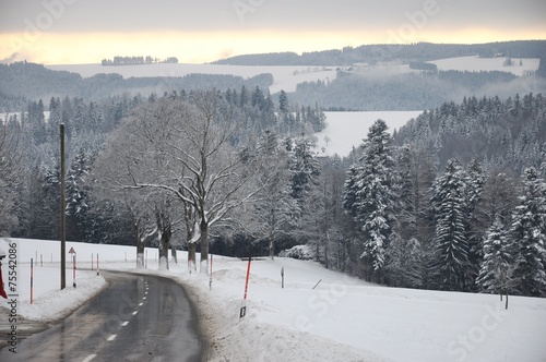 Schwarzwald photo