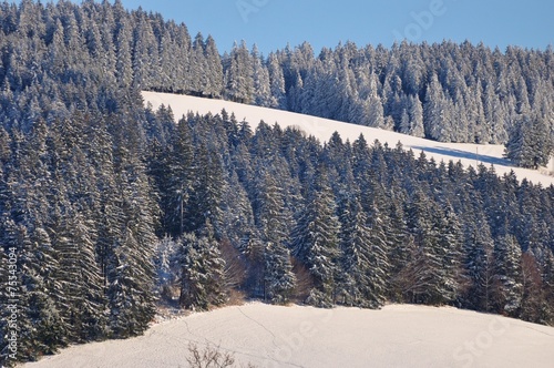 Schwarzwald photo