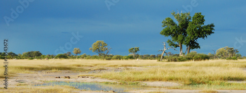 Hwange National Park