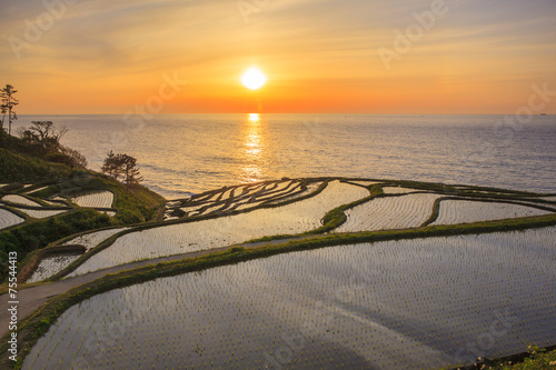 Rice terraces at sunset, Shiroyone-no-senmaida