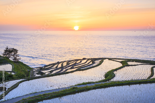 Rice terraces at sunset, Shiroyone senmaida photo