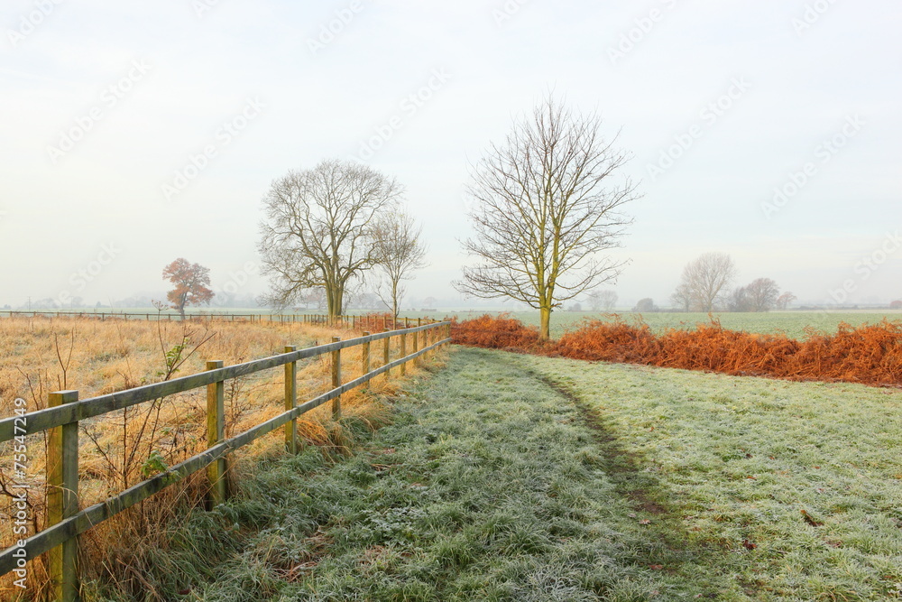 Frosty country morning