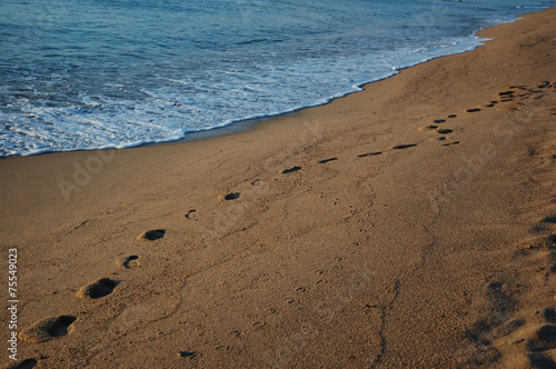 Wallpaper Mural sea beach Torontodigital.ca