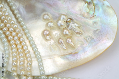 Mother of pearl with real pearls in a sea shell
