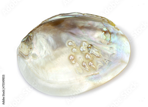 Mother of pearl with real pearls in a sea shell isolated on white background 
