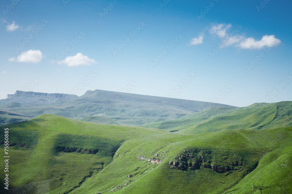 blue sky and mountains with green grass
