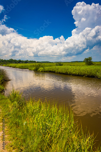Marsh in Tomoka State Park, Florida.