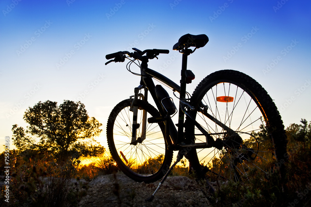 bicicleta de montaña en el paisaje foto de Stock | Adobe Stock