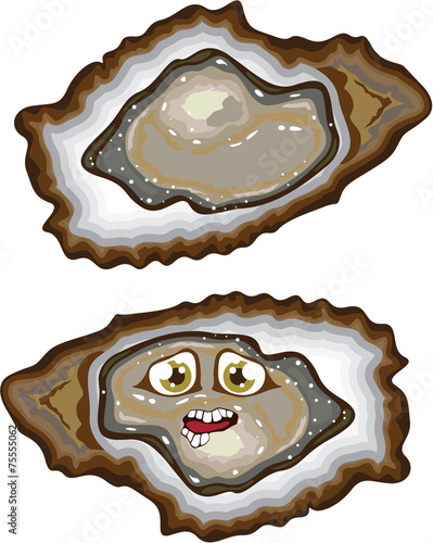 Vector Oysters