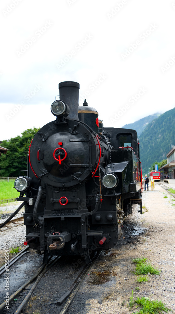 Fototapeta premium Zillertalbahn in den Alpen - Österreich