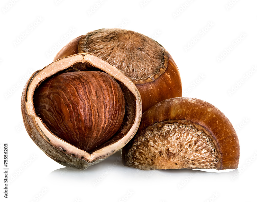 Hazelnuts isolated on a white background Hazelnuts isolated on a white background
