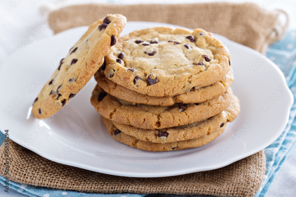 Chocolate chip cookies on a plate Chocolate chip cookies on a plate