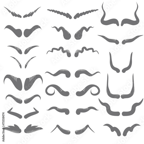 set of horns