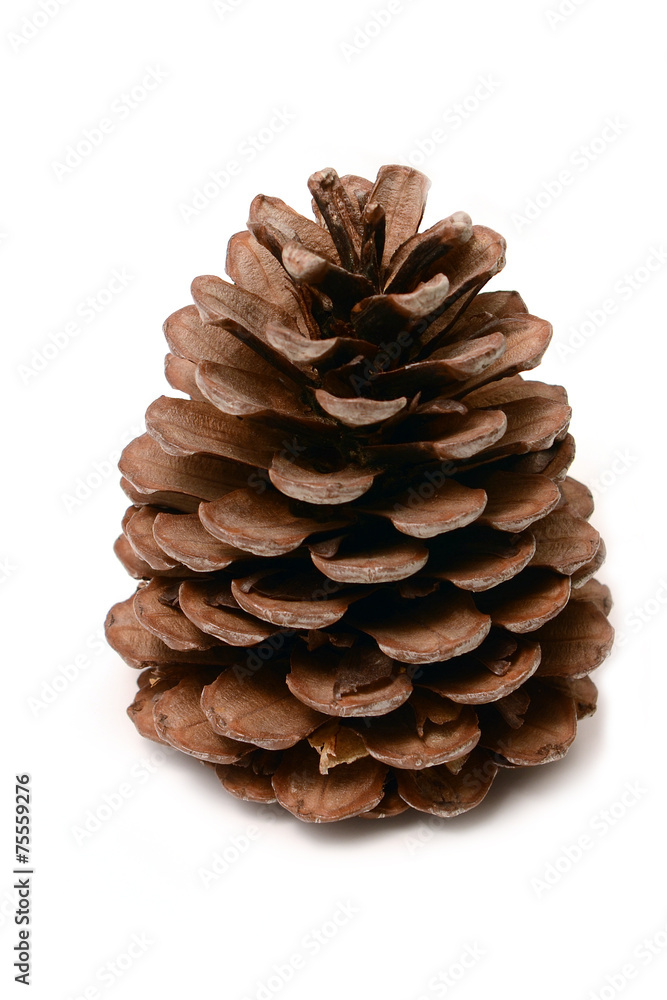 Cone isolated on white background Cone isolated on white background