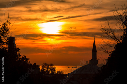 Mosque silhouette  Istanbul  Turkey