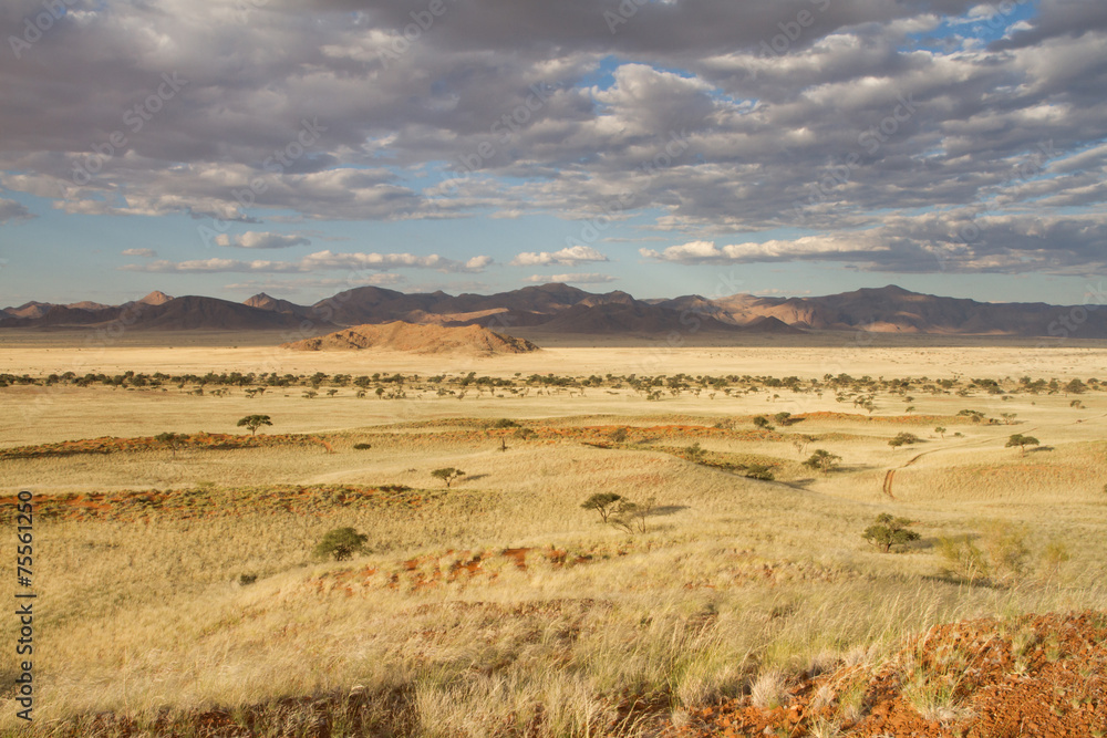 Fototapeta premium Namibian landscape