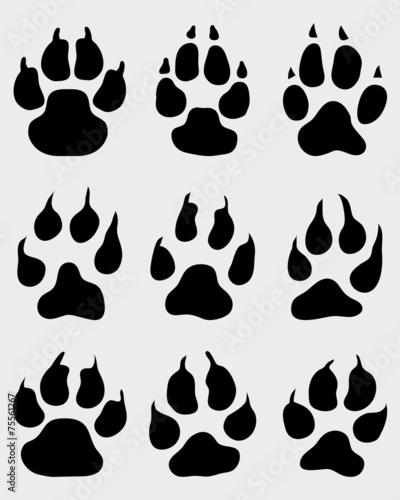 Black print of paw on white background, vector
