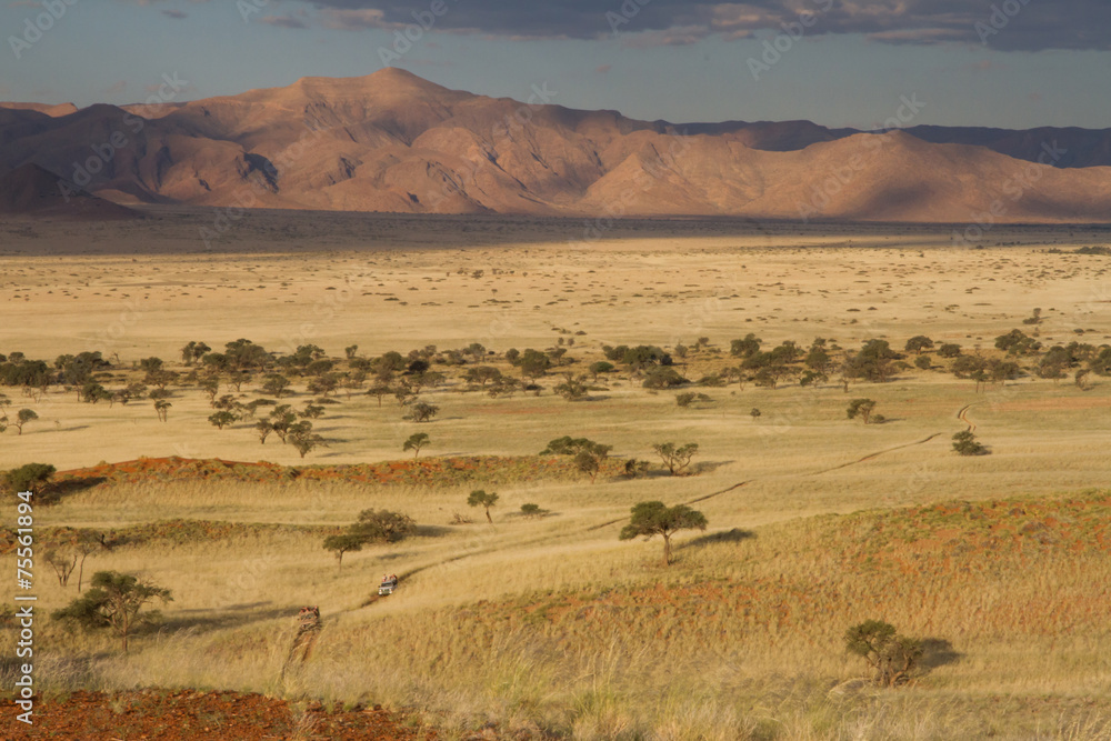 Namibian Landscape at hte sunset