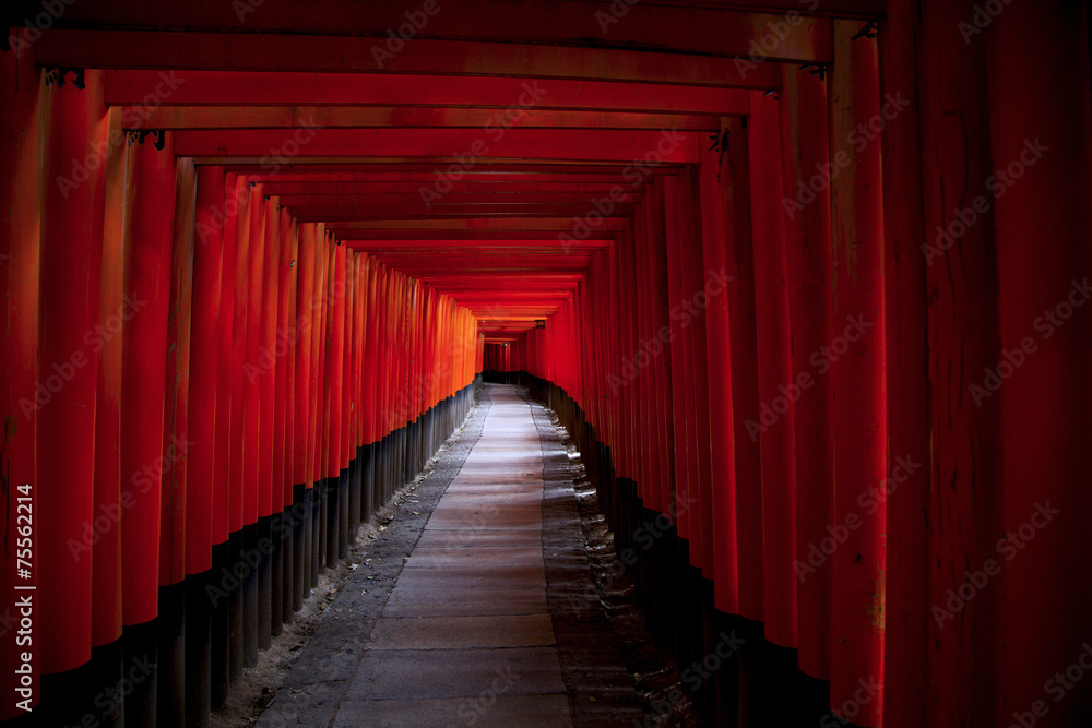 Fototapeta premium 千本鳥居