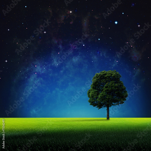 Starry night. Abstract natural backgrounds for your design. NASA © Dmytro Tolokonov